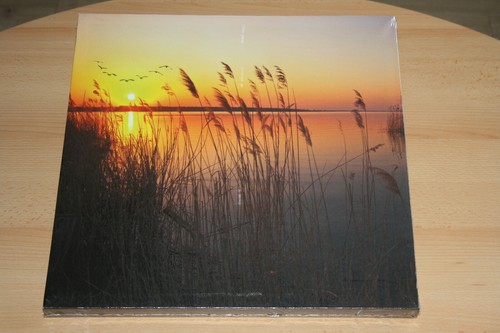 Led bild motiv - motiv, "abendsonne"