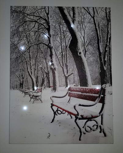 Led bild wandbild park - led,