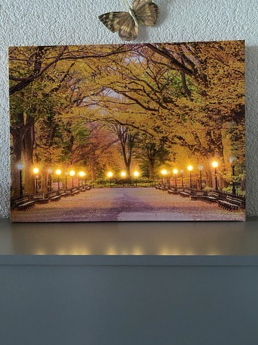 Led wandbild herbstweg x - wandbild,