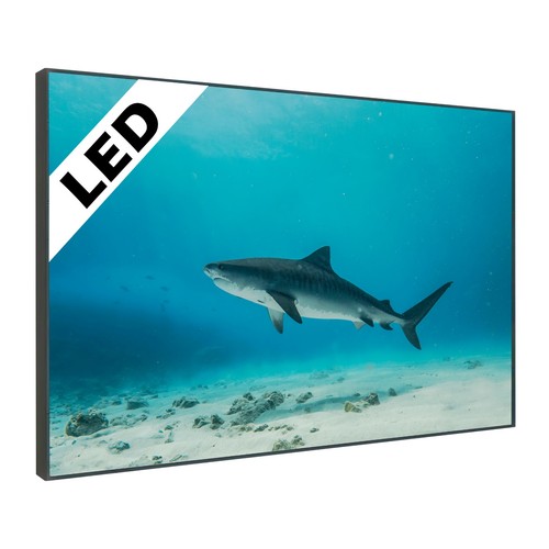 Led wandbild tiger hai - wandbild,